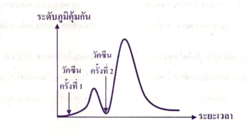 O-net62